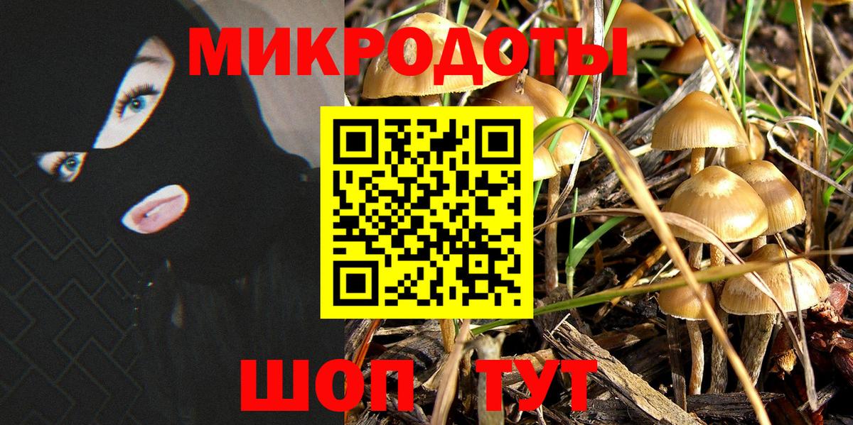 Галлюциногенные грибы мухоморы  Вход с VPN  Брянск 