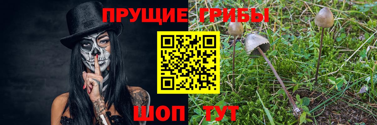 купить закладку  Брянск  Псилоцибиновые грибы GOLDEN TEACHER  Псилоцибиновые грибы мухоморы 